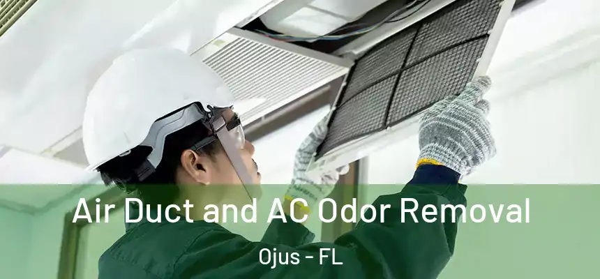 Air Duct and AC Odor Removal Ojus - FL