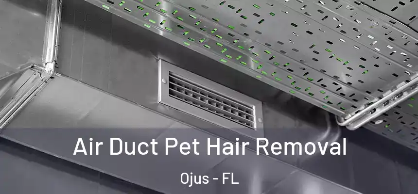 Air Duct Pet Hair Removal Ojus - FL