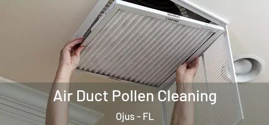 Air Duct Pollen Cleaning Ojus - FL