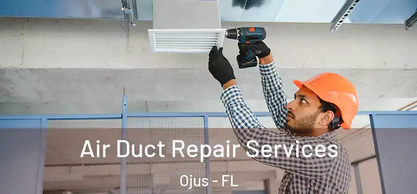 Air Duct Repair Services Ojus - FL
