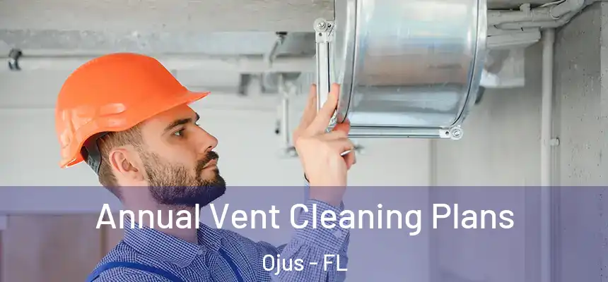 Annual Vent Cleaning Plans Ojus - FL