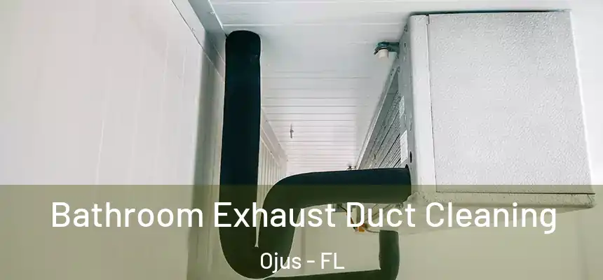 Bathroom Exhaust Duct Cleaning Ojus - FL