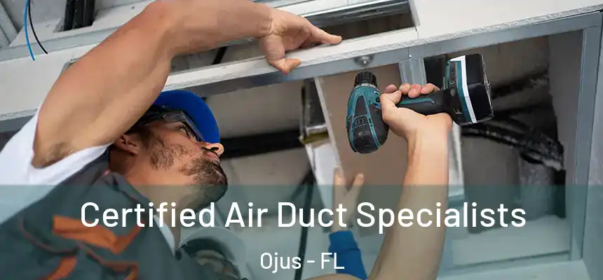 Certified Air Duct Specialists Ojus - FL