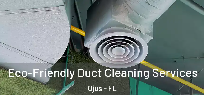 Eco-Friendly Duct Cleaning Services Ojus - FL
