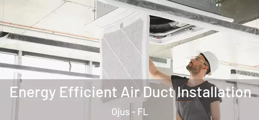 Energy Efficient Air Duct Installation Ojus - FL