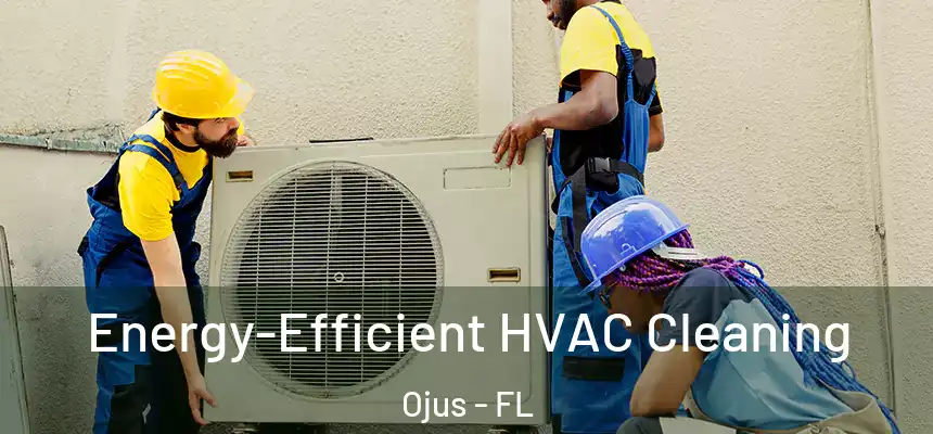 Energy-Efficient HVAC Cleaning Ojus - FL