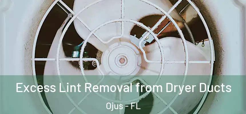 Excess Lint Removal from Dryer Ducts Ojus - FL