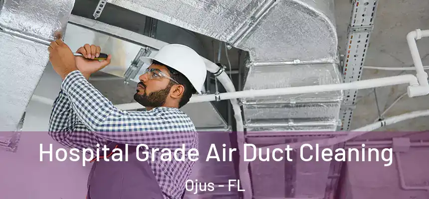 Hospital Grade Air Duct Cleaning Ojus - FL