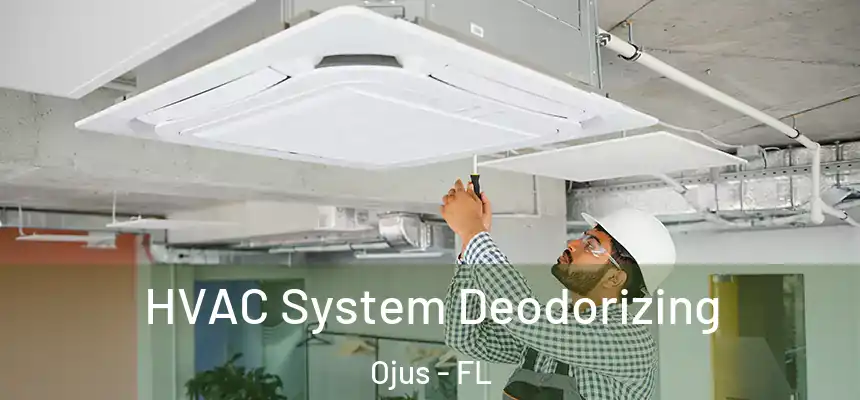 HVAC System Deodorizing Ojus - FL