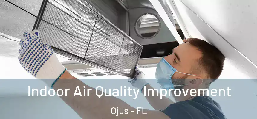 Indoor Air Quality Improvement Ojus - FL