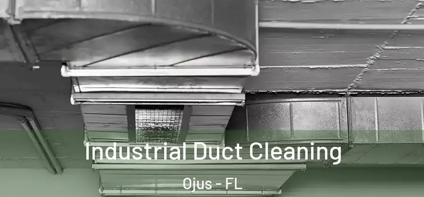 Industrial Duct Cleaning Ojus - FL