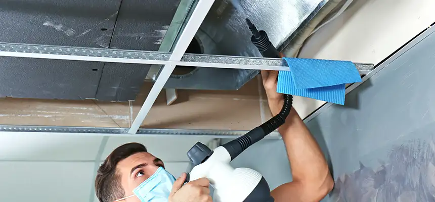 Our Air Duct Rodent Removal Services in Ojus, FL