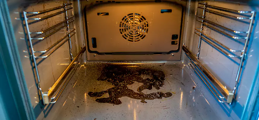 Our Dryer Vent Mold Cleaning Services in Ojus, FL