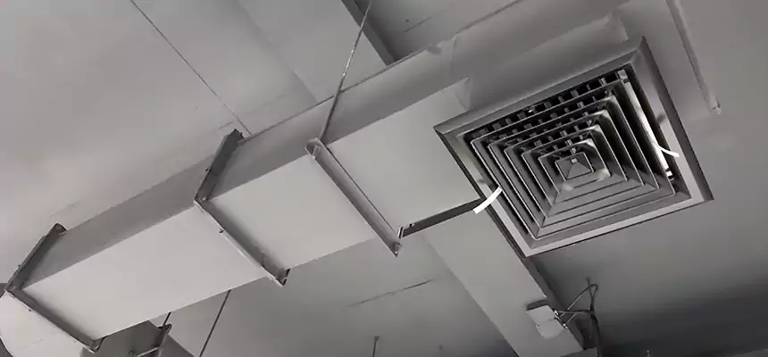 Our Pest Removal From Ducts Services in Ojus, FL