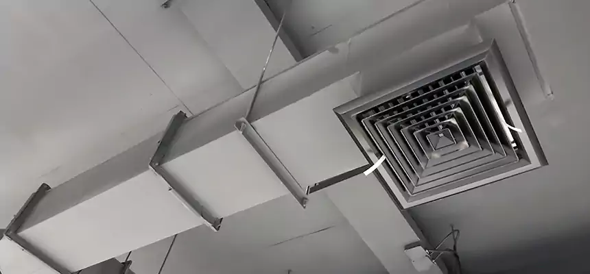 Our Rodent Droppings In Vents Services in Ojus, FL