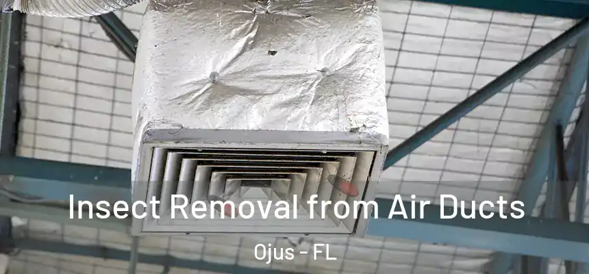 Insect Removal from Air Ducts Ojus - FL