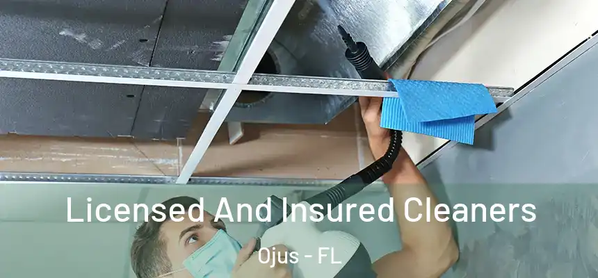 Licensed And Insured Cleaners Ojus - FL