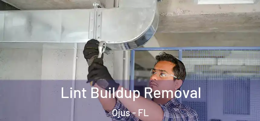 Lint Buildup Removal Ojus - FL