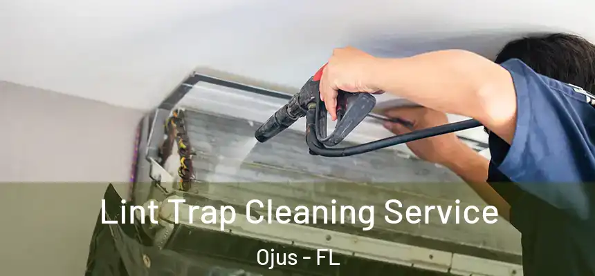 Lint Trap Cleaning Service Ojus - FL