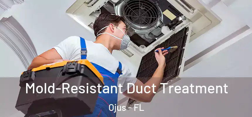 Mold-Resistant Duct Treatment Ojus - FL