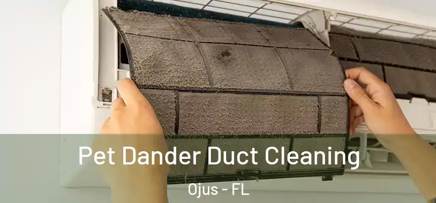 Pet Dander Duct Cleaning Ojus - FL