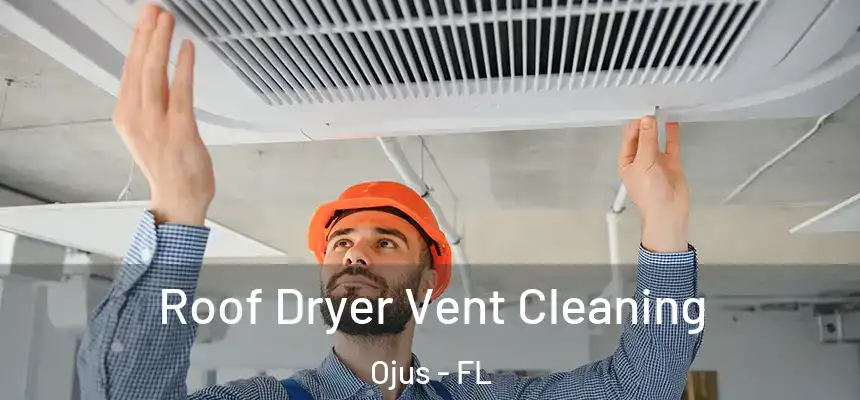 Roof Dryer Vent Cleaning Ojus - FL