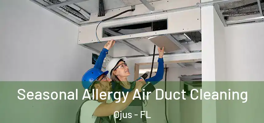 Seasonal Allergy Air Duct Cleaning Ojus - FL
