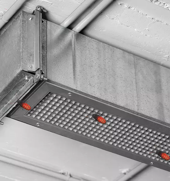 About Air Duct Cockroach Removal in Ojus, FL