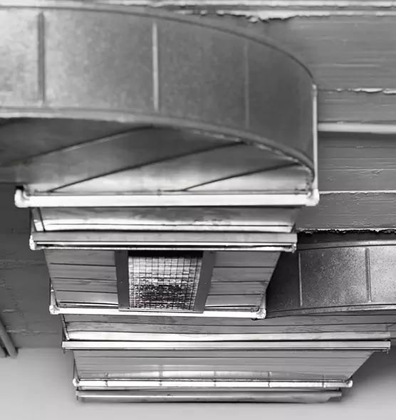 Professional Air Duct Pet Hair Removal in Ojus, FL