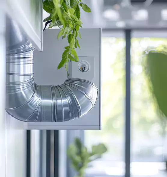 Professional Eco-Friendly Duct Cleaning Services in Ojus, FL