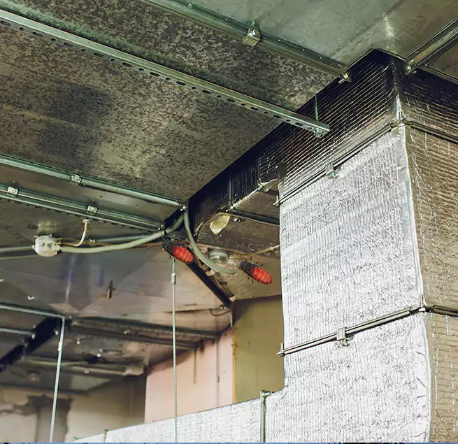 Why Homeowners & Businesses Trust Us Ojus, FL?