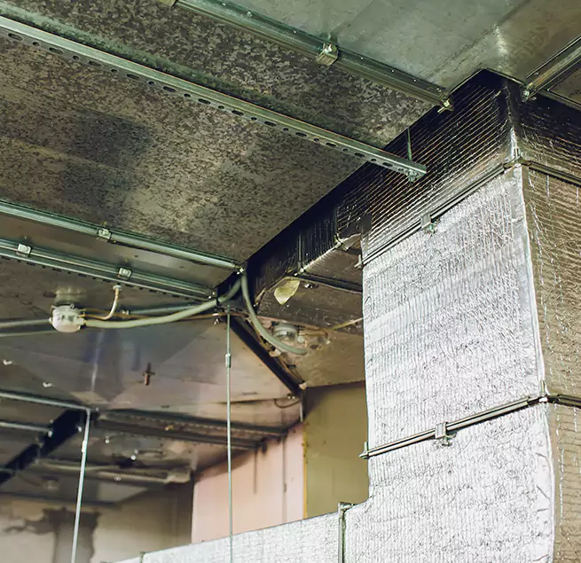 Why Homeowners & Businesses Trust Us in Ojus, FL?