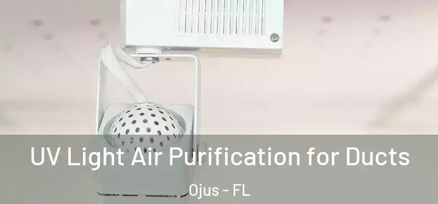  UV Light Air Purification for Ducts Ojus - FL